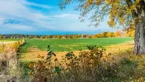 Mazury całe w barwach jesieni - zdjęcie 13