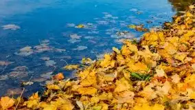 Mazury całe w barwach jesieni - zdjęcie 41