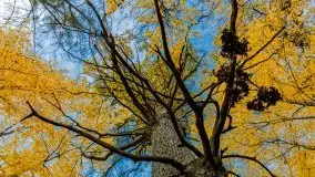 Mazury całe w barwach jesieni - zdjęcie 75