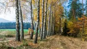 Mazury całe w barwach jesieni - zdjęcie 21