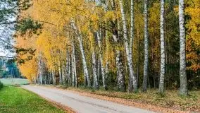 Mazury całe w barwach jesieni - zdjęcie 76