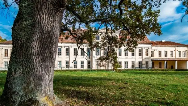 Pałac w Drogoszach - zdjęcie 11