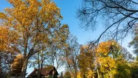 Jesiennie klimaty, Fuleda, Dziewiszewo, jezioro Dobskie - zdjęcie 18