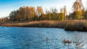 Jesiennie klimaty, Fuleda, Dziewiszewo, jezioro Dobskie - zdjęcie 17