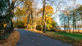 Jesiennie klimaty, Fuleda, Dziewiszewo, jezioro Dobskie - zdjęcie 44