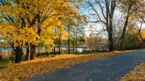 Jesiennie klimaty, Fuleda, Dziewiszewo, jezioro Dobskie - zdjęcie 23