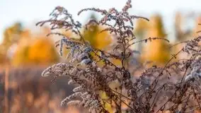 Jesiennie klimaty, Fuleda, Dziewiszewo, jezioro Dobskie - zdjęcie 33