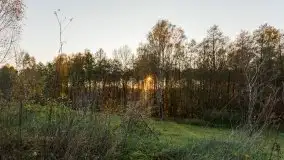 Jesiennie klimaty, Fuleda, Dziewiszewo, jezioro Dobskie - zdjęcie 37