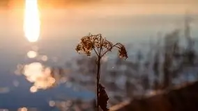 Zachód Słońca nad jeziorem Dobskim, listopad 2020 - zdjęcie 7