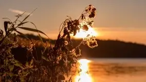 Zachód Słońca nad jeziorem Dobskim, listopad 2020 - zdjęcie 30