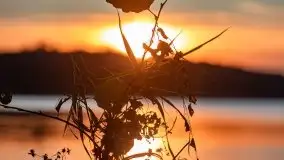 Zachód Słońca nad jeziorem Dobskim, listopad 2020 - zdjęcie 40