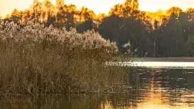 Zachód Słońca nad jeziorem Dobskim, listopad 2020 - zdjęcie 38