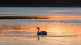 Zachód Słońca nad jeziorem Dobskim, listopad 2020 - zdjęcie 44