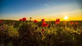 Zachód słońca niedaleko Lipowego Dworu - zdjęcie 3