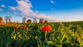 Zachód słońca niedaleko Lipowego Dworu - zdjęcie 21