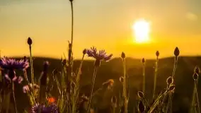 Zachód słońca niedaleko Lipowego Dworu - zdjęcie 25