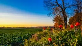 Zachód słońca niedaleko Lipowego Dworu - zdjęcie 5