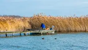 Późno jesienne klimaty gdy wieje i chłód doskwiera przy jeziorze Dargin - zdjęcie 17