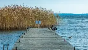 Późno jesienne klimaty gdy wieje i chłód doskwiera przy jeziorze Dargin - zdjęcie 26