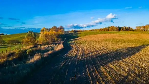 Mazurska jesień z lotu mewy, listopad 2020 r. - zdjęcie 4