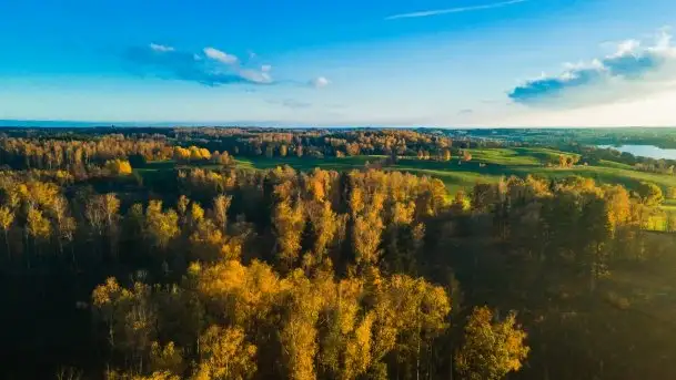 Mazurska jesień z lotu mewy, listopad 2020 r. - zdjęcie 8