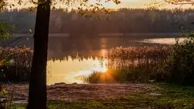 Jesień w okolicach jeziora Okrągłe, listopad 2020 - zdjęcie 1