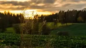 Jesień w okolicach jeziora Okrągłe, listopad 2020 - zdjęcie 19