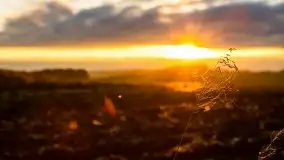 Jesień w okolicach jeziora Okrągłe, listopad 2020 - zdjęcie 8