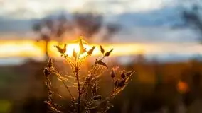 Jesień w okolicach jeziora Okrągłe, listopad 2020 - zdjęcie 15