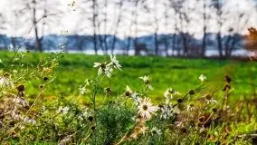 Jesienne Mazury, okolice jezior Niegocin i wojnowo - zdjęcie 14