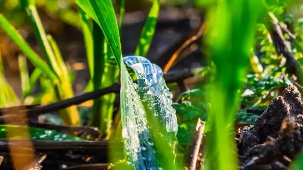 Jesienne Mazury, okolice jezior Niegocin i wojnowo - zdjęcie 8