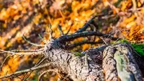 Jesienne Mazury, okolice jezior Niegocin i wojnowo - zdjęcie 17