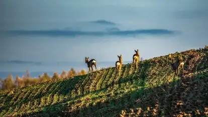 Jesienne Mazury na zdjęciach Staszka Sielewicza