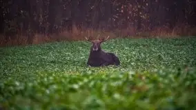 Jesienne Mazury na zdjęciach Staszka Sielewicza - zdjęcie 35