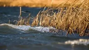 Jesienne Mazury na zdjęciach Staszka Sielewicza - zdjęcie 32