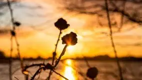 Zachód słońca i resztki jesieni nad jeziorem Ołów - zdjęcie 21