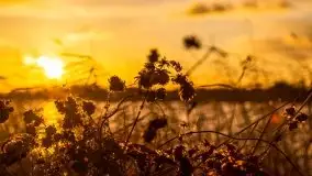 Zachód słońca i resztki jesieni nad jeziorem Ołów - zdjęcie 31