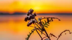 Pierwszy śnieg i wschód słońca nad jeziorem Boczne - zdjęcie 36