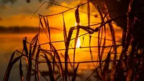 Pierwszy śnieg i wschód słońca nad jeziorem Boczne - zdjęcie 38