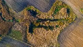 Jesień z lotu ptaka przy jeziorze Tałtowisko i kanale Grunwaldzkim - zdjęcie 5