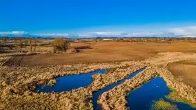 Jesień z lotu ptaka przy jeziorze Tałtowisko i kanale Grunwaldzkim - zdjęcie 6