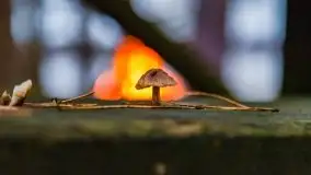 Miał być zachód słońca, a skończyło się na ognisku - zdjęcie 28