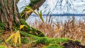 Miał być zachód słońca, a skończyło się na ognisku - zdjęcie 27