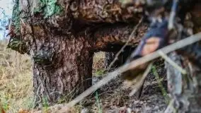 Miał być zachód słońca, a skończyło się na ognisku - zdjęcie 23