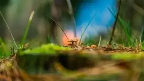 Miał być zachód słońca, a skończyło się na ognisku - zdjęcie 16