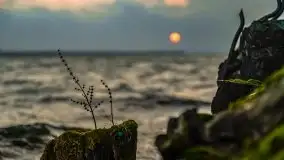 Wschód słońca przy moście Sztynorckim i jeziorze Dargin - zdjęcie 18