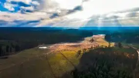 Krutynia i Nowy Mostek w grudniowych zdjęciach - zdjęcie 7