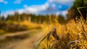 Krutynia i Nowy Mostek w grudniowych zdjęciach - zdjęcie 53