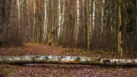 Krutynia i Nowy Mostek w grudniowych zdjęciach - zdjęcie 19