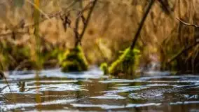 Krutynia i Nowy Mostek w grudniowych zdjęciach - zdjęcie 13